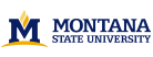 montana-state-university